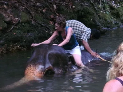Visitors bathing and washing an elephant in a jungle river on Koh Chang